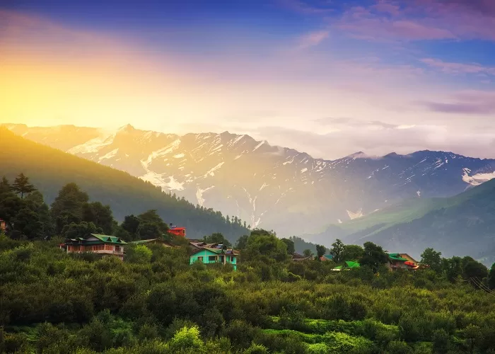 Arrival in Manali & Local Sightseeing